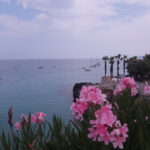 Castro Marina Puglia (6)