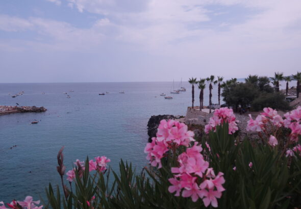 Castro Marina Puglia (6)