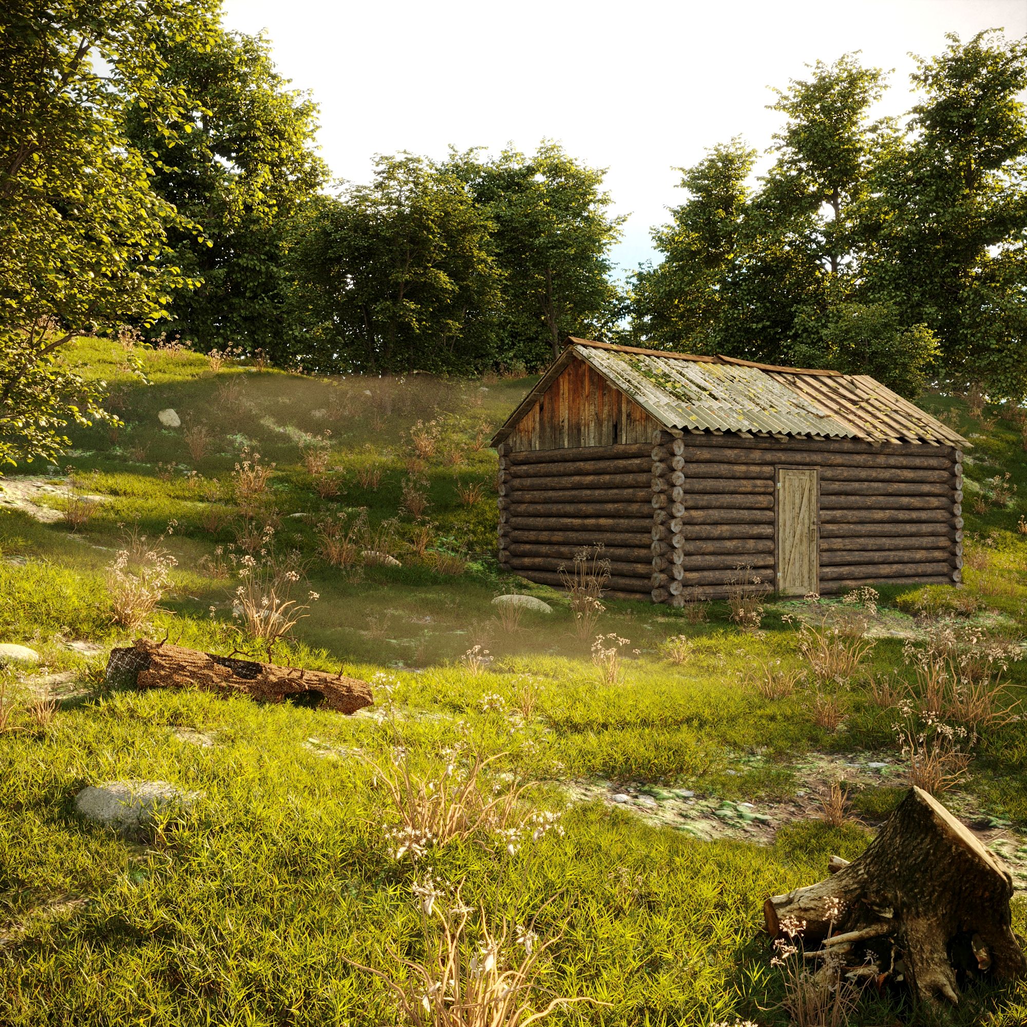 HOUGHTON & MACKAY MAGAZINE