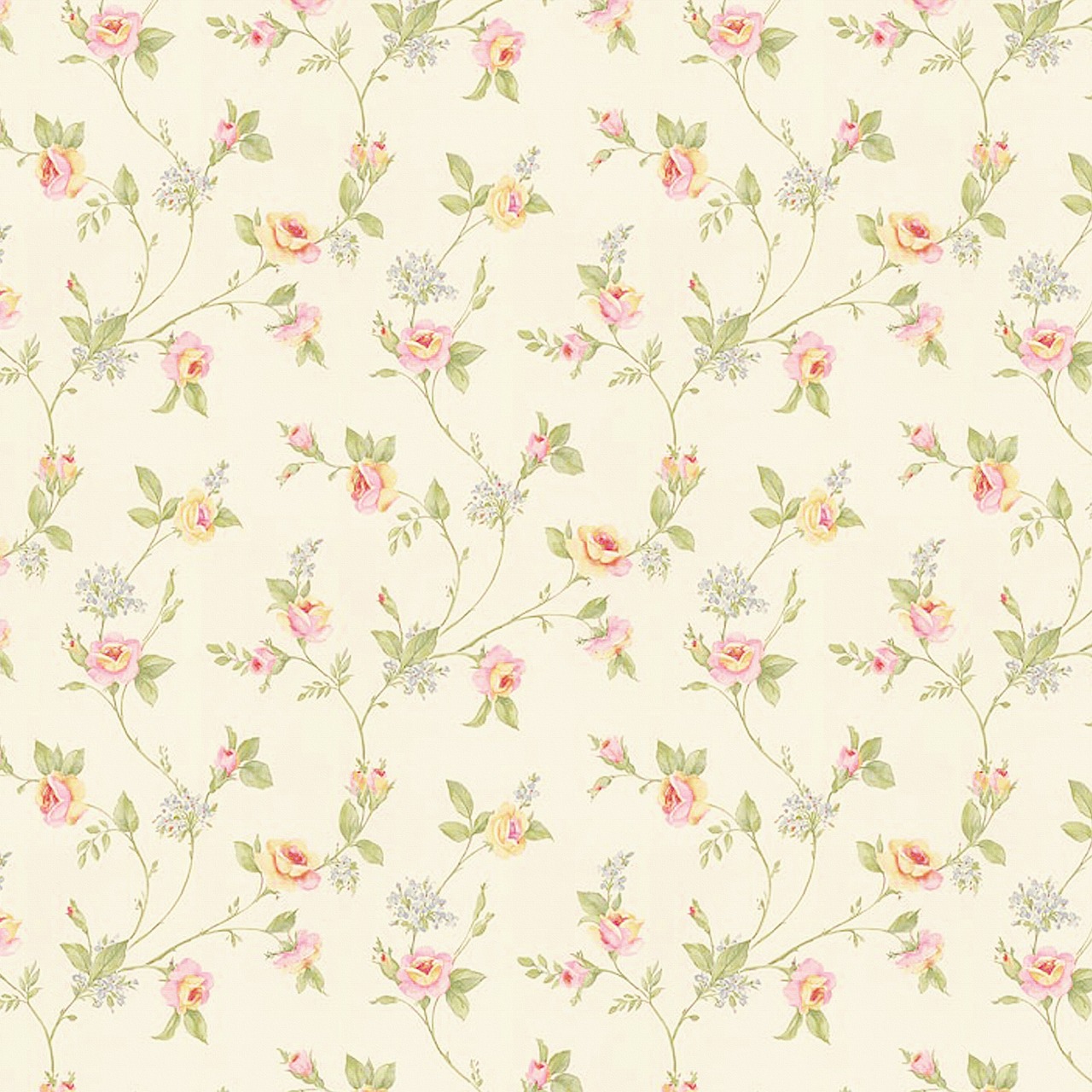Tayyibah Shah Background